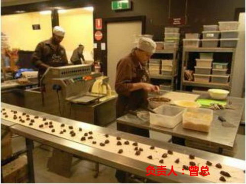 探索海外就业机遇 常州赴德国劳务与挪威清真食品厂招聘解析